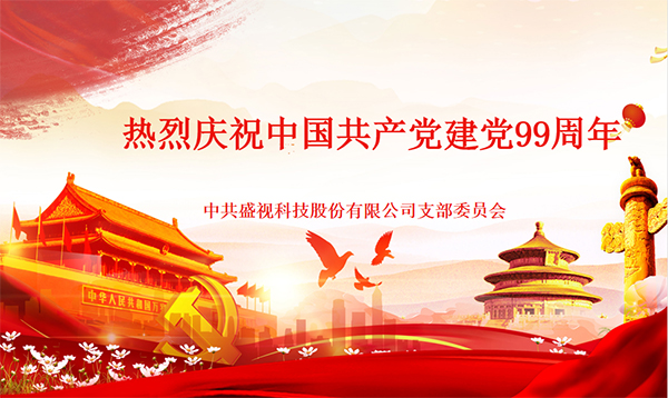 盛视党建动态|拼搏(中国)pinbo·官方网页版,党组织开展庆祝建党99周年主题党日活动